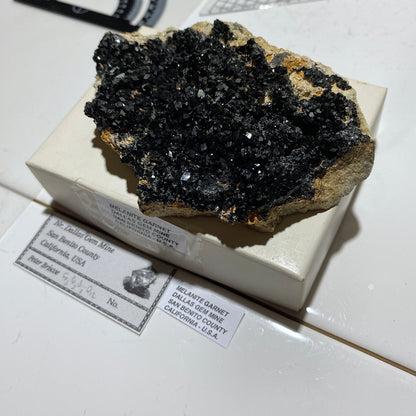 MELANITE GARNET : NEW IDRA MINING DISTRICT, SAN BENITO , CALIFORNIA, U.S.A. 240g MF4686