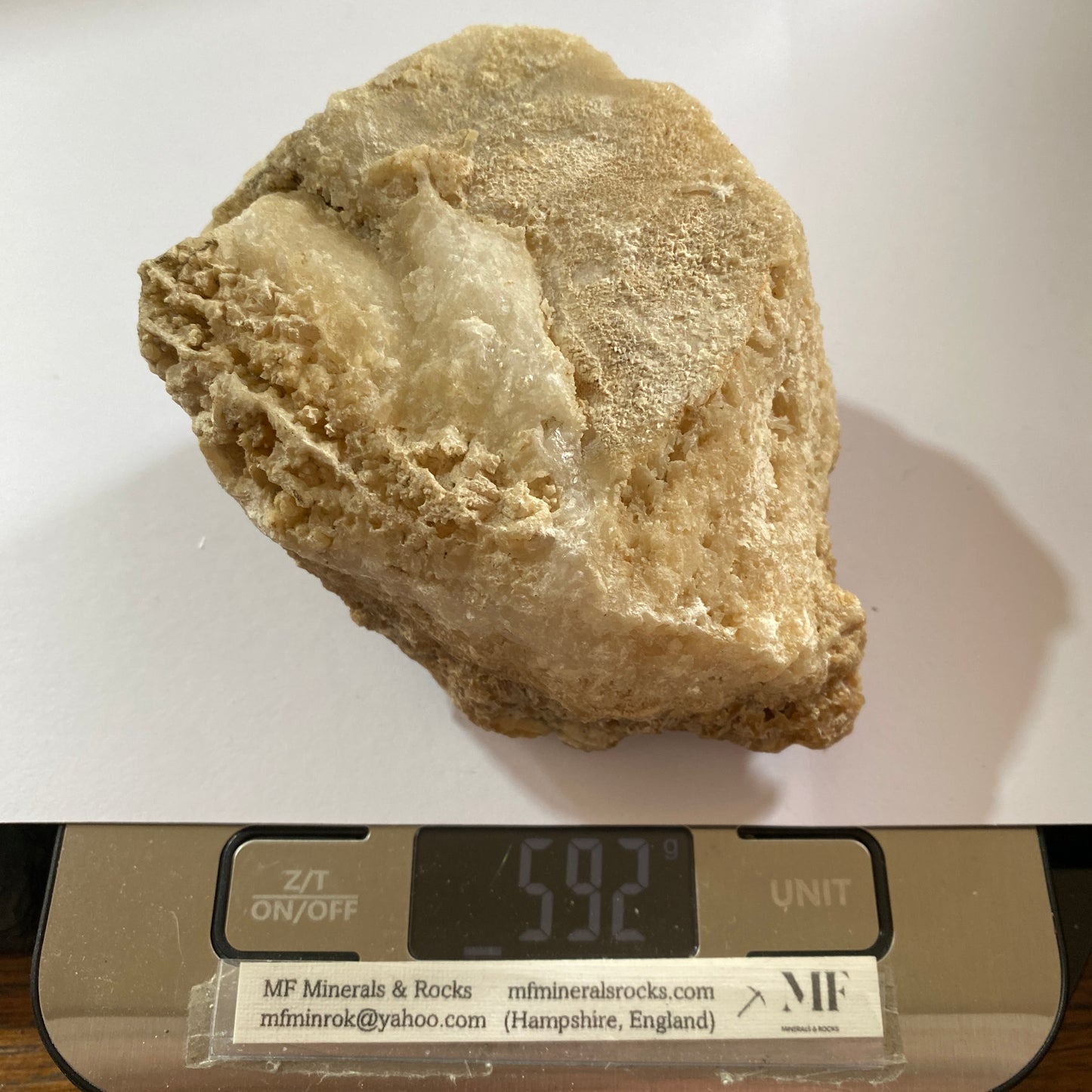 LIMESTONE :  INTERESTING SPECIMEN FROM PORTLAND DORSET 589g MF630