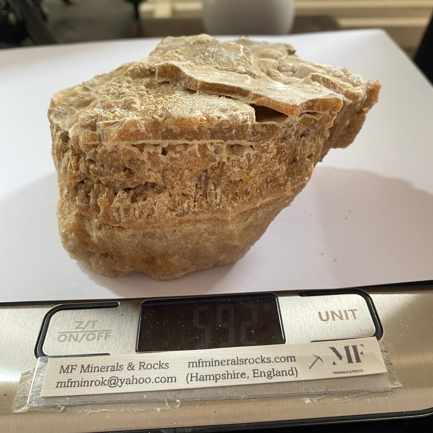 LIMESTONE :  INTERESTING SPECIMEN FROM PORTLAND DORSET 589g MF630