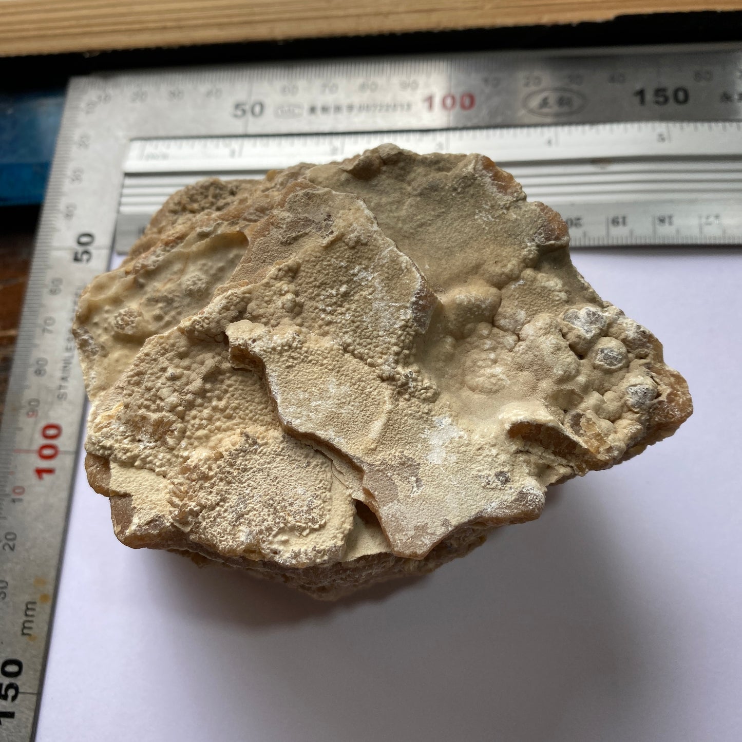 LIMESTONE :  INTERESTING SPECIMEN FROM PORTLAND DORSET 589g MF630