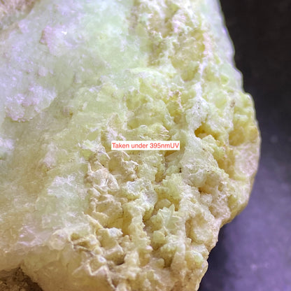 LIMESTONE :  INTERESTING SPECIMEN FROM PORTLAND DORSET 589g MF630