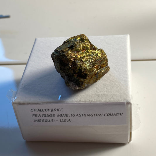 CHALCOPYRITE - PEA RIDGE MINE, MISSOURI, U.S.A. 16g MF6107