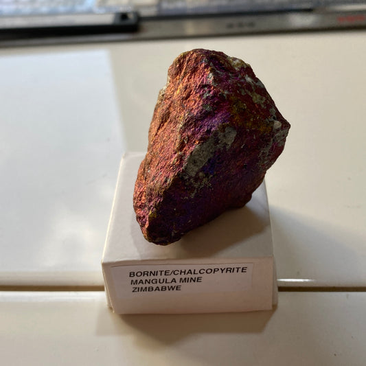 CHALCOPYRITE/BORNITE/ETC : MANGULA MINE, MAKONDE, ZIMBABWE. 66g MF5356