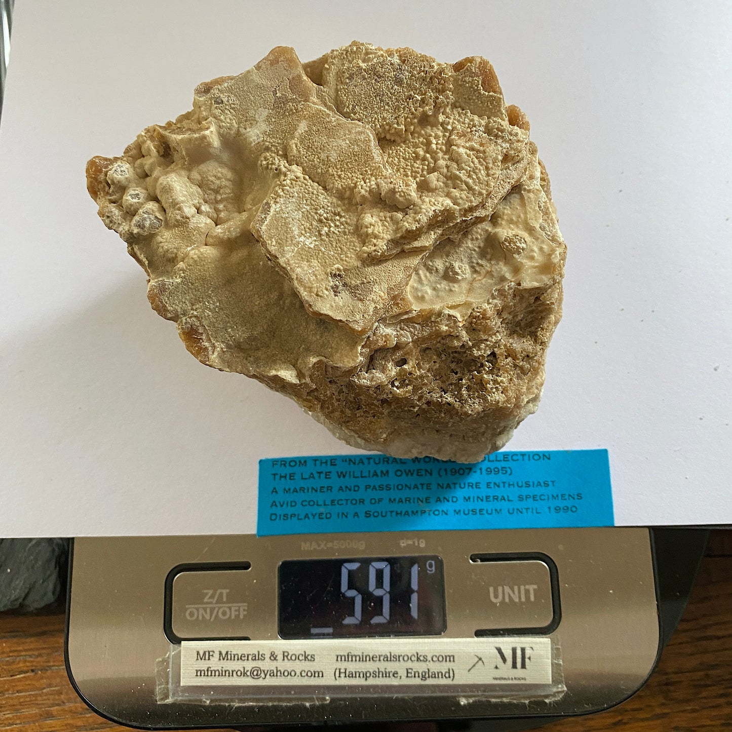 LIMESTONE :  INTERESTING SPECIMEN FROM PORTLAND DORSET 589g MF630