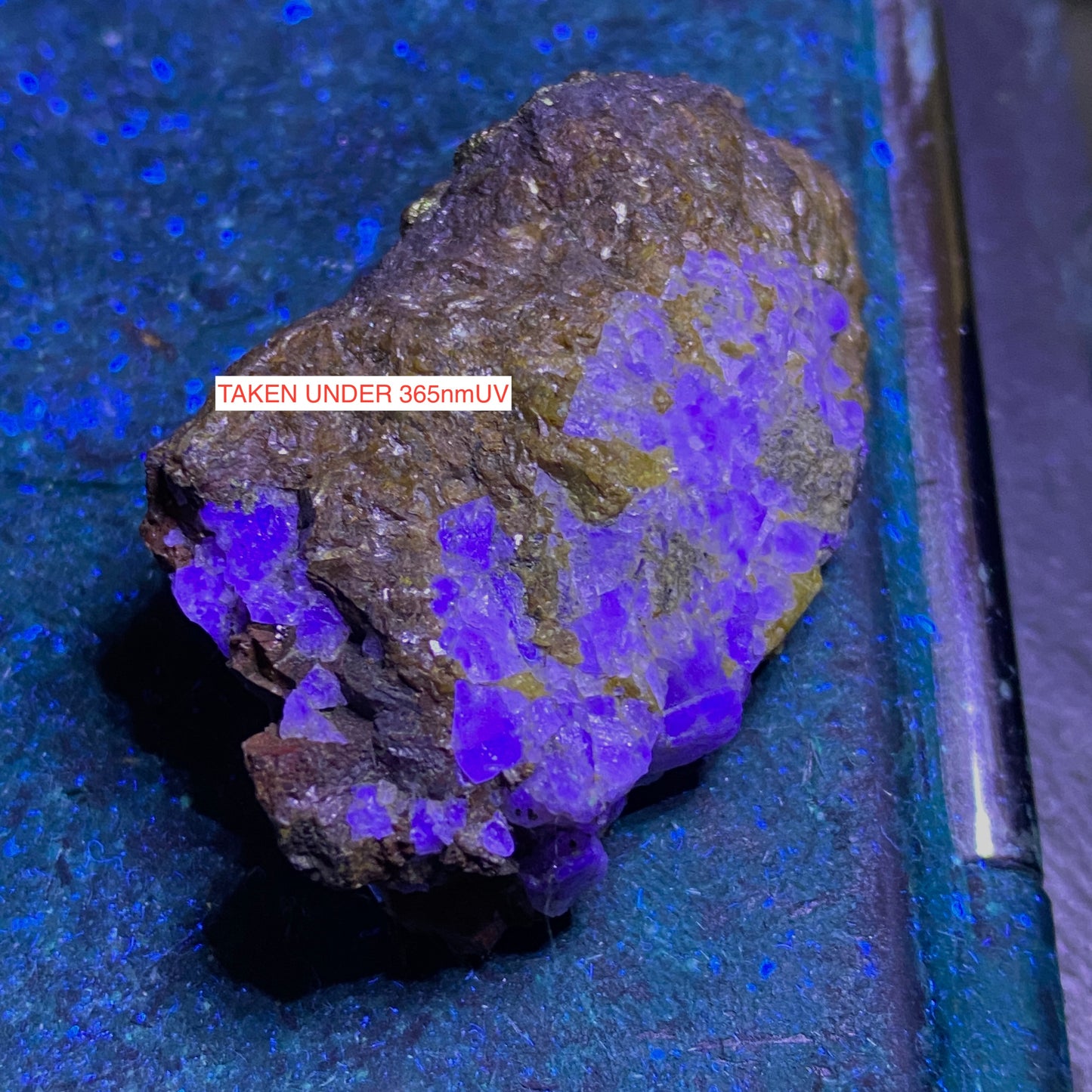 FLUORITE/GALENA ETC : WHEAL RAY, ST IVE, CORNWALL 39g MF4674