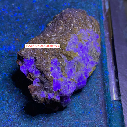 FLUORITE/GALENA ETC : WHEAL RAY, ST IVE, CORNWALL 39g MF4674