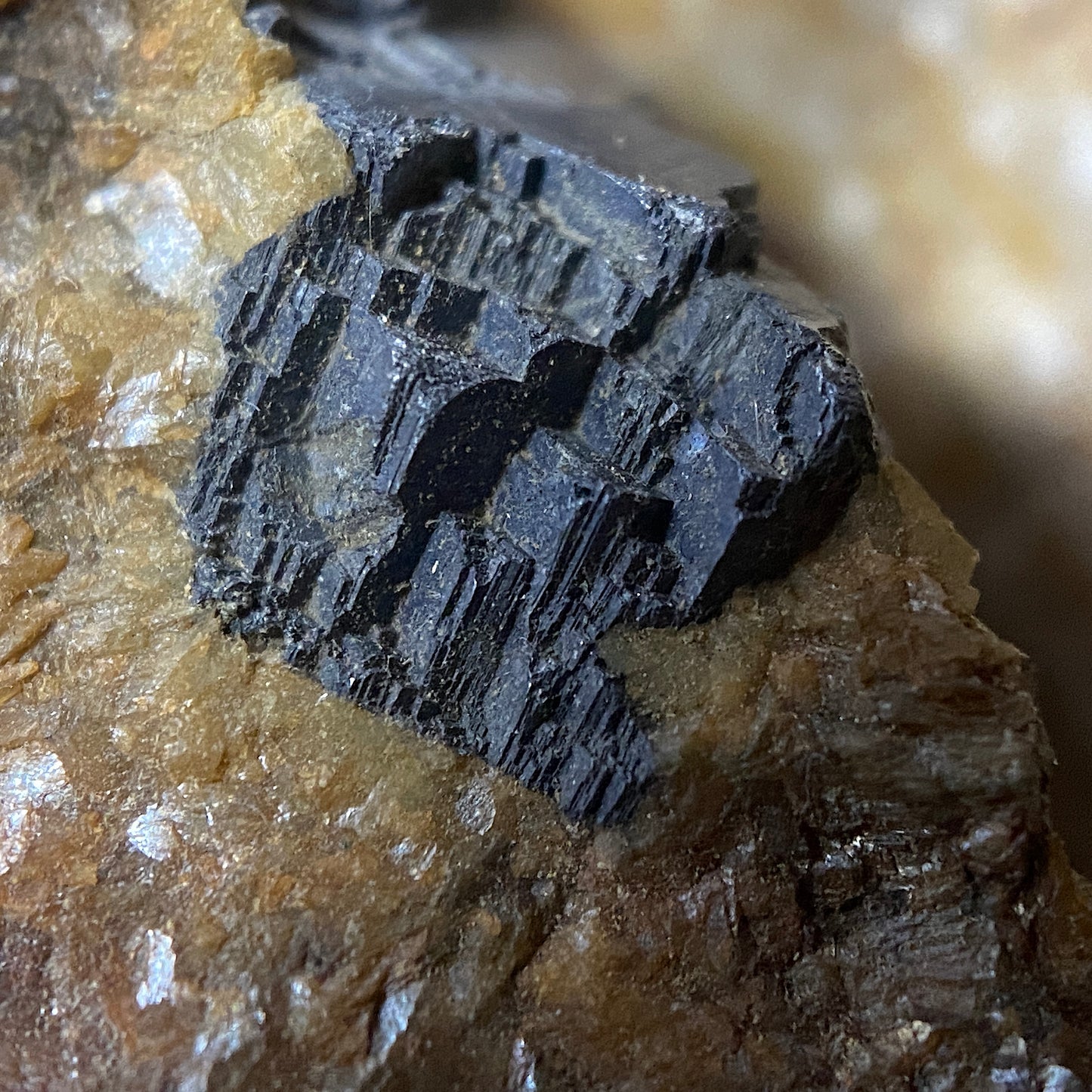 FLUORITE/GALENA ETC : WHEAL RAY, ST IVE, CORNWALL 39g MF4674