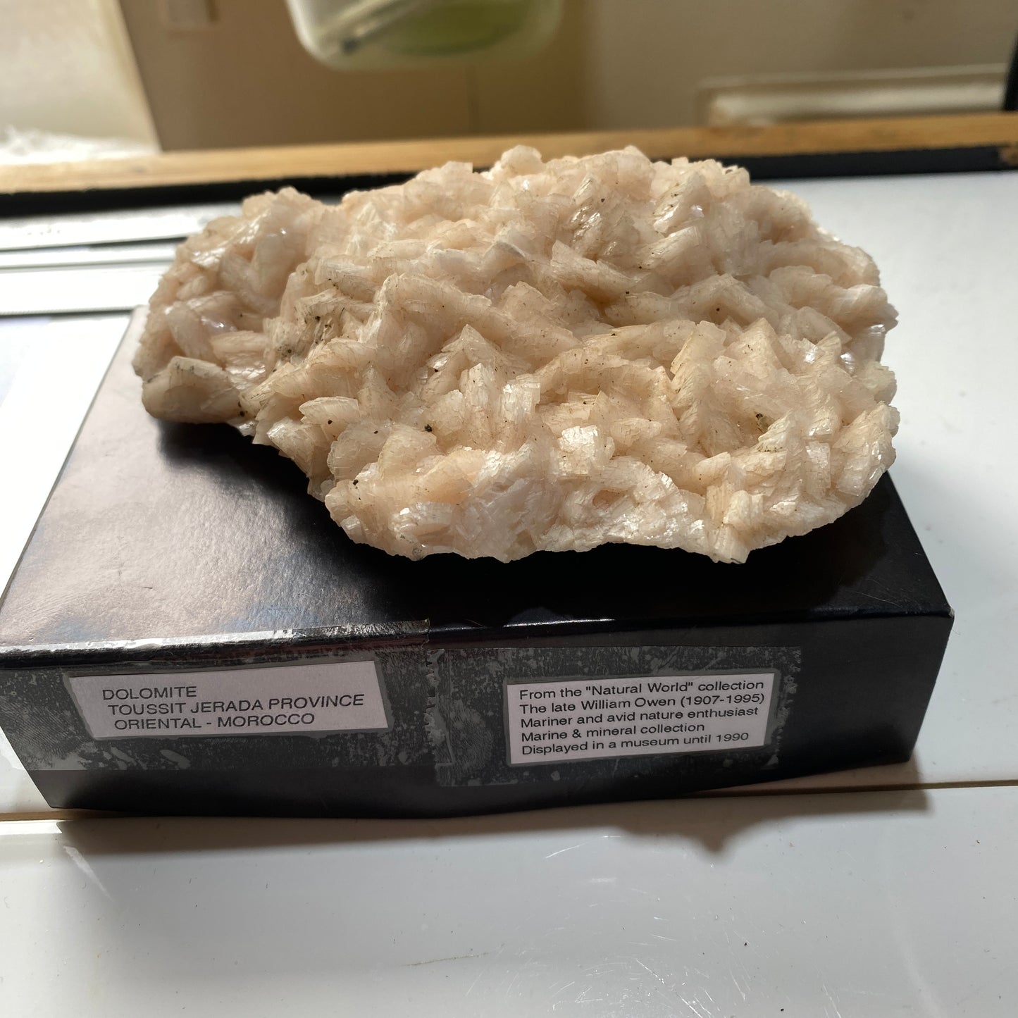 DOLOMITE - TOUSSIT, JERADA PROVINCE, ORIENYAL, MOROCCO  409g MF646