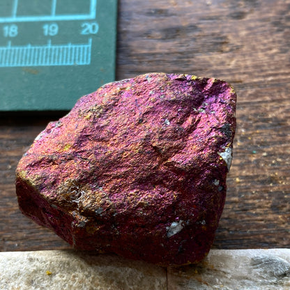 CHALCOPYRITE/BORNITE/ETC : MANGULA MINE, MAKONDE, ZIMBABWE. 66g MF5356