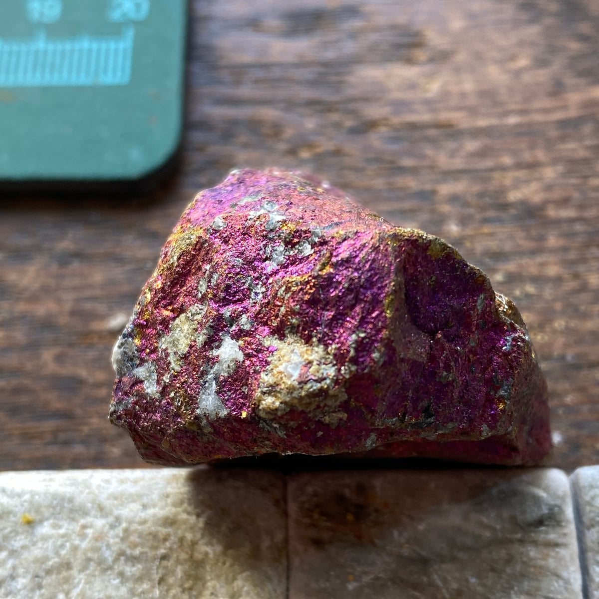 CHALCOPYRITE/BORNITE/ETC : MANGULA MINE, MAKONDE, ZIMBABWE. 66g MF5356
