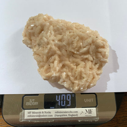 DOLOMITE - TOUSSIT, JERADA PROVINCE, ORIENYAL, MOROCCO  409g MF646