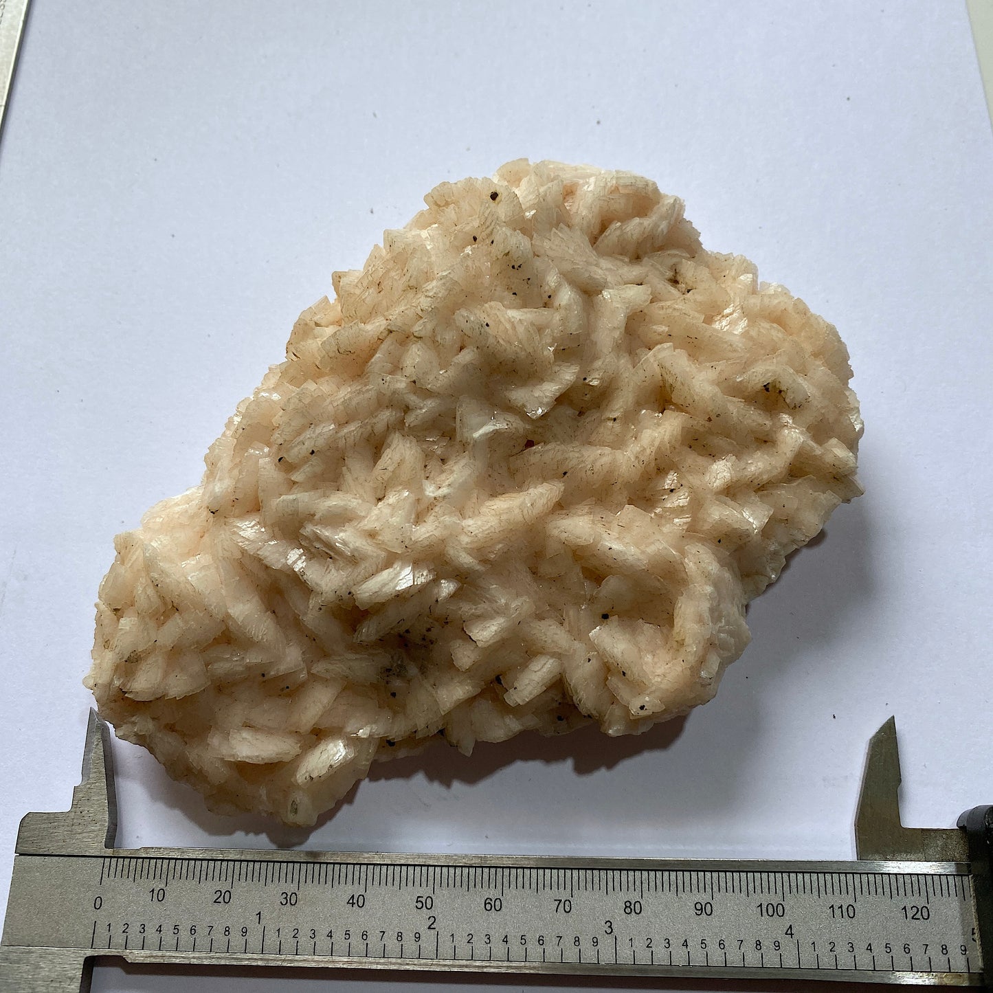 DOLOMITE - TOUSSIT, JERADA PROVINCE, ORIENYAL, MOROCCO  409g MF646