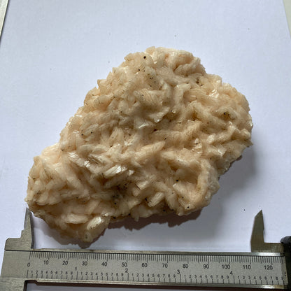 DOLOMITE - TOUSSIT, JERADA PROVINCE, ORIENYAL, MOROCCO  409g MF646