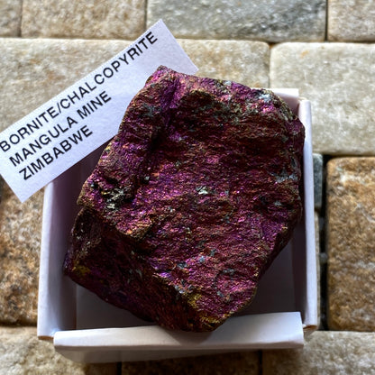CHALCOPYRITE/BORNITE/ETC : MANGULA MINE, MAKONDE, ZIMBABWE. 66g MF5356