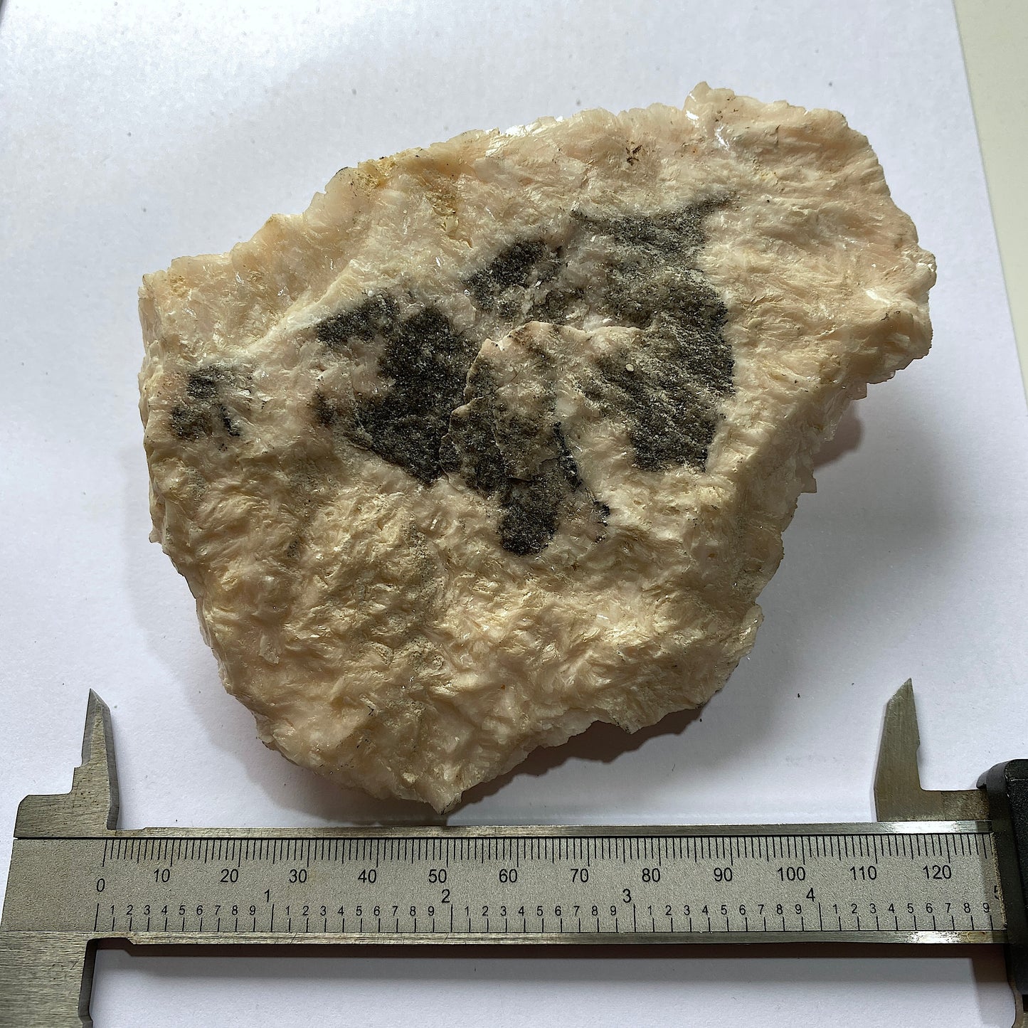 DOLOMITE - TOUSSIT, JERADA PROVINCE, ORIENYAL, MOROCCO  409g MF646