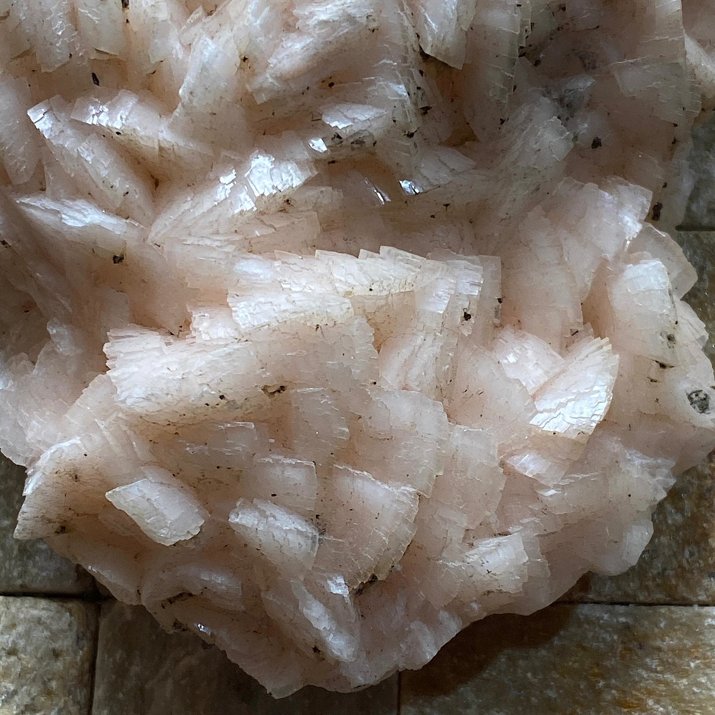DOLOMITE - TOUSSIT, JERADA PROVINCE, ORIENYAL, MOROCCO  409g MF646