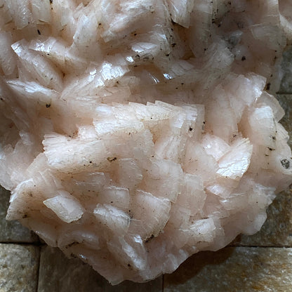 DOLOMITE - TOUSSIT, JERADA PROVINCE, ORIENYAL, MOROCCO  409g MF646