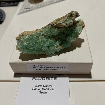 FLUORITE: BERTA QUARRY, PAPIOL, CATALONIA, SPAIN 49g MF4680