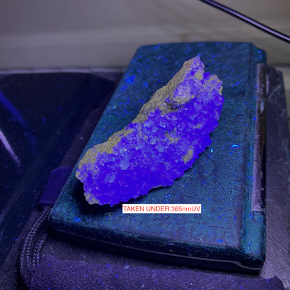 FLUORITE: BERTA QUARRY, PAPIOL, CATALONIA, SPAIN 49g MF4680