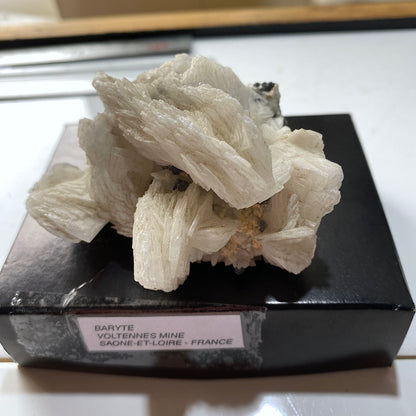 BARYTE - VOLTENNES MINE, SAONE-ET-LOIRE, FRANCE 214g MF657