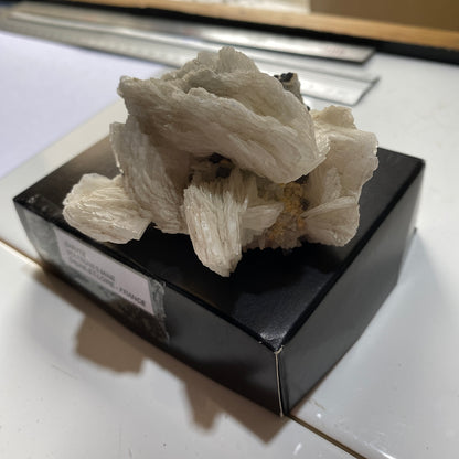 BARYTE - VOLTENNES MINE, SAONE-ET-LOIRE, FRANCE 214g MF657