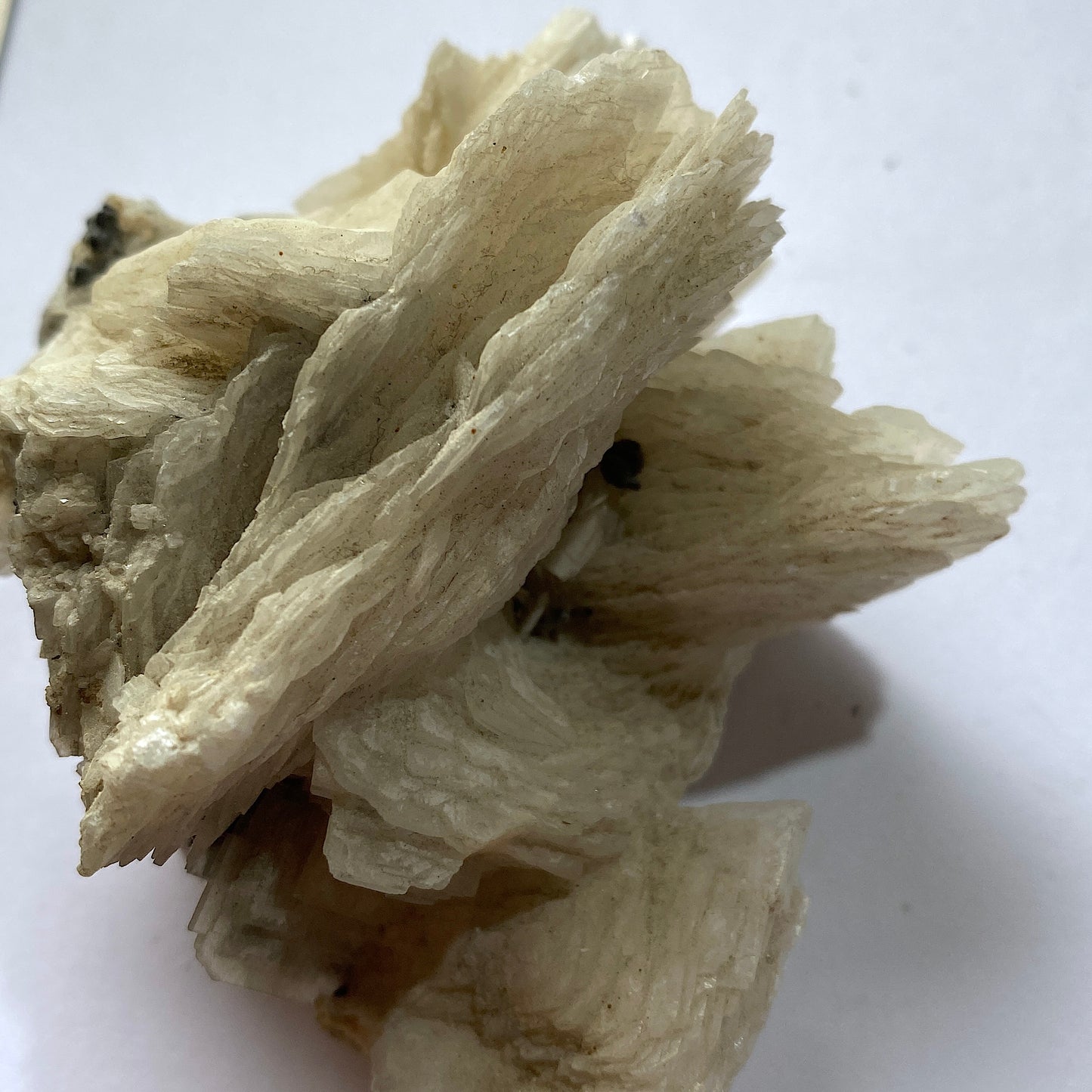 BARYTE - VOLTENNES MINE, SAONE-ET-LOIRE, FRANCE 214g MF657