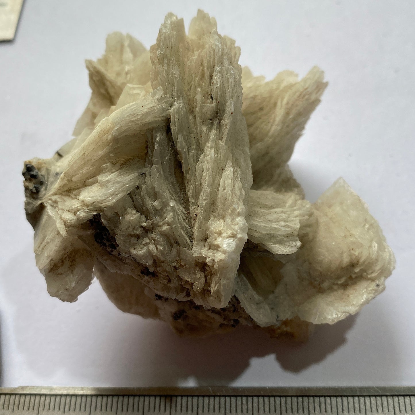 BARYTE - VOLTENNES MINE, SAONE-ET-LOIRE, FRANCE 214g MF657