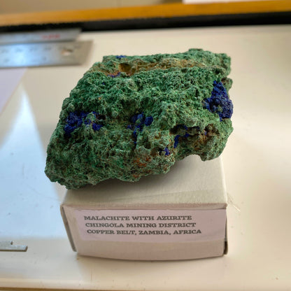 MALACHITE WITH AZURITE - CHINGOLA MINING DISTICT, ZAMBIA 128g. MF3932