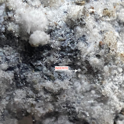 CANAVESITE/INDERITE/DYPINGITE : BROSSO MINE, CALEA, TORINO, ITALY. 9g MF4682