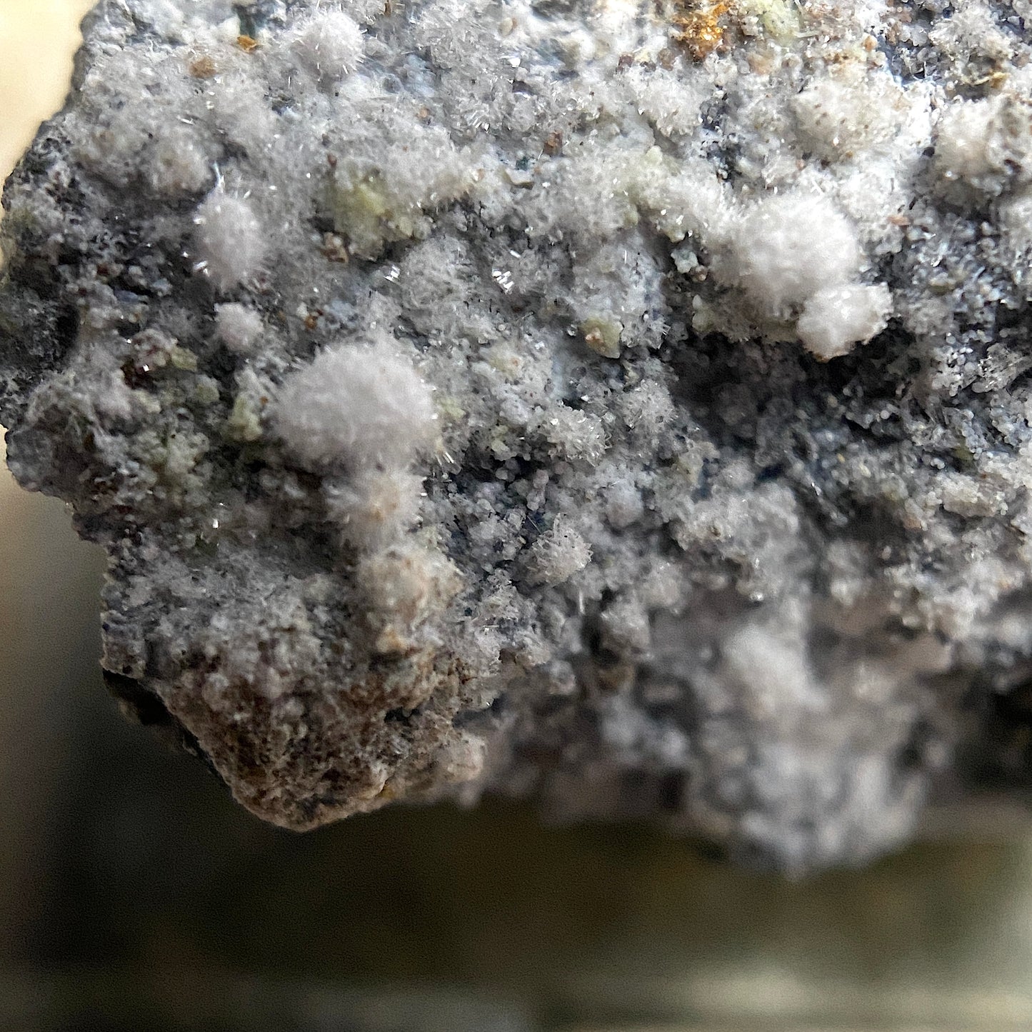 CANAVESITE/INDERITE/DYPINGITE : BROSSO MINE, CALEA, TORINO, ITALY. 9g MF4682