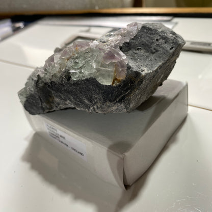 FLUORITE - ROGERLEY MINE, STANHOPE, COUNTY DURHAM, ENGLAND 471g MF4254