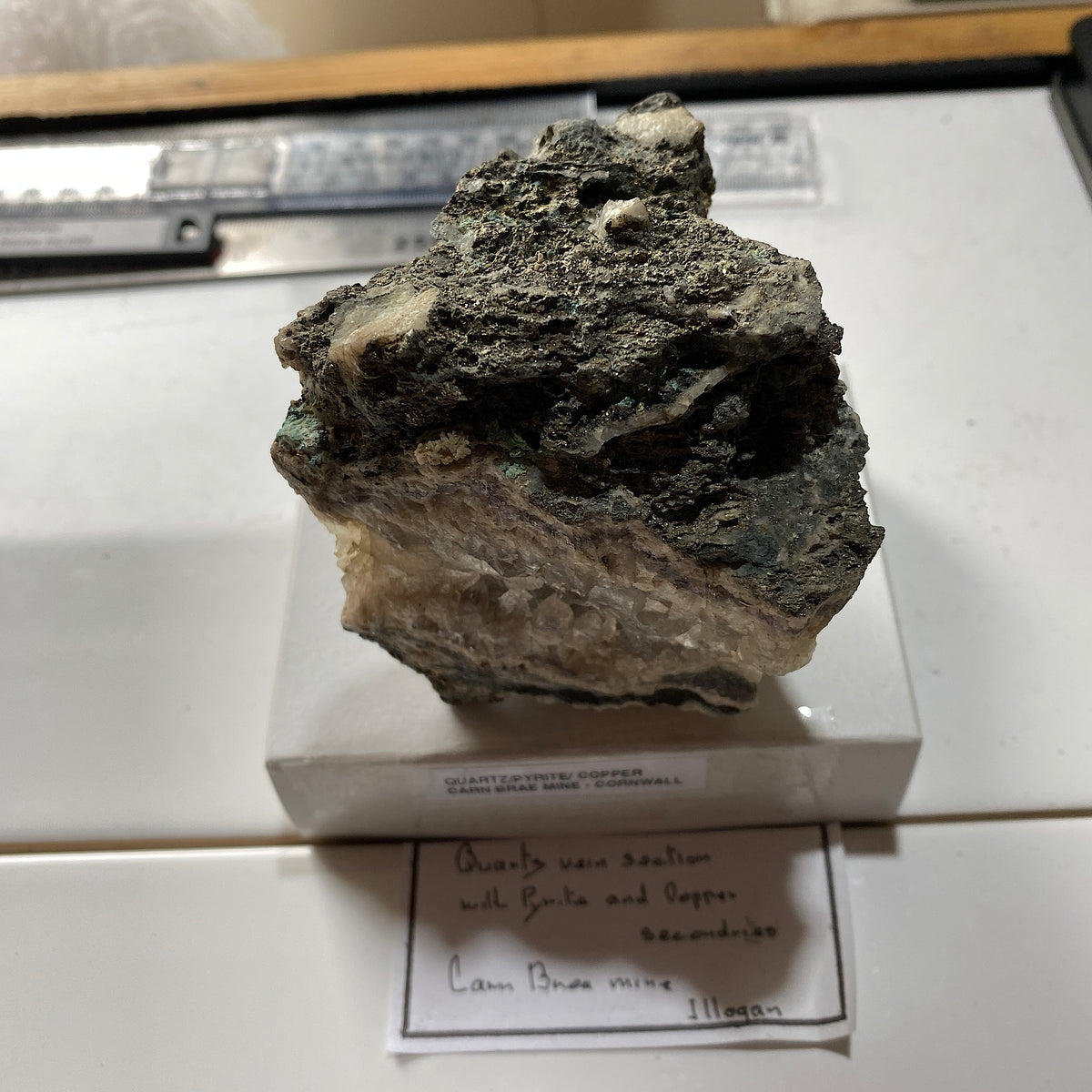 QUARTZ/PYRITE [ETC] : CARN BRAE MINE, POOL, CORNWALL  395g MF5365