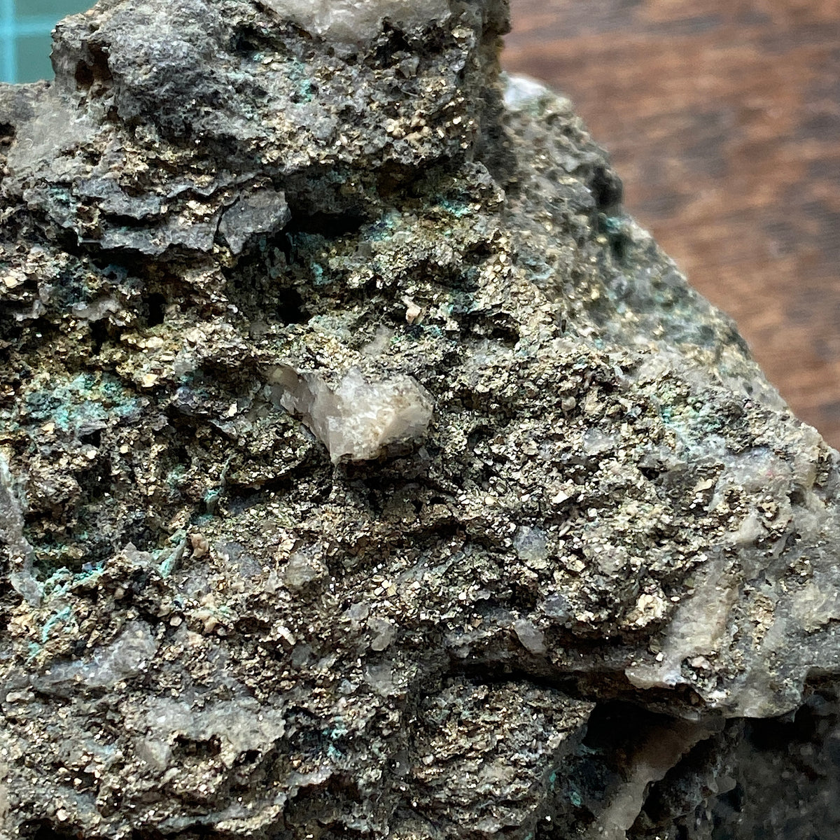 QUARTZ/PYRITE [ETC] : CARN BRAE MINE, POOL, CORNWALL  395g MF5365