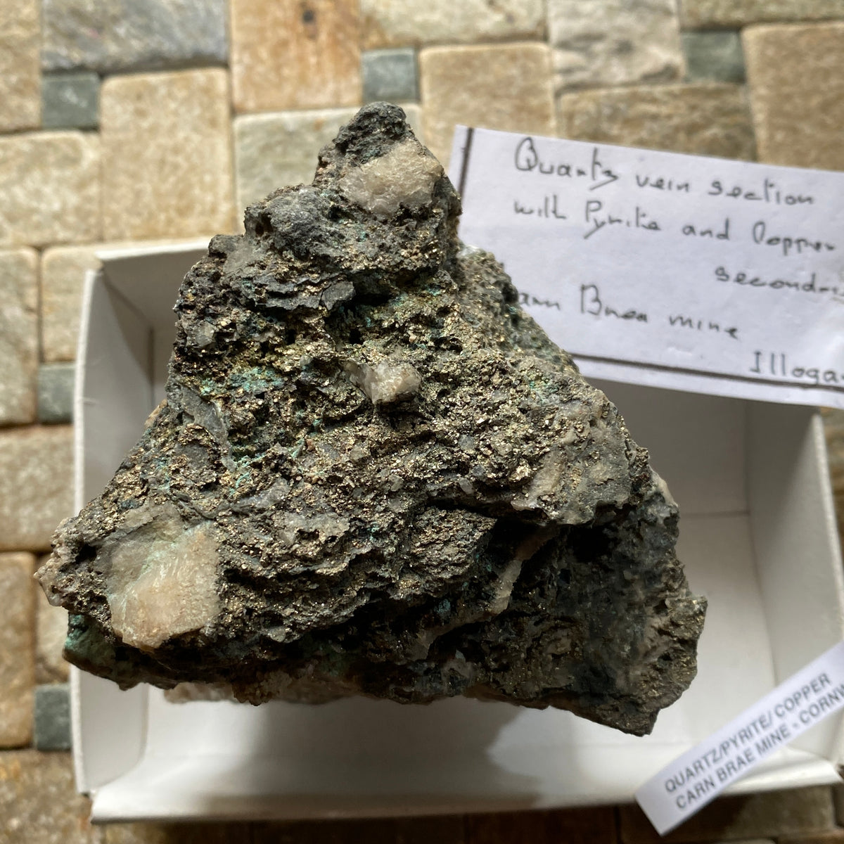 QUARTZ/PYRITE [ETC] : CARN BRAE MINE, POOL, CORNWALL  395g MF5365