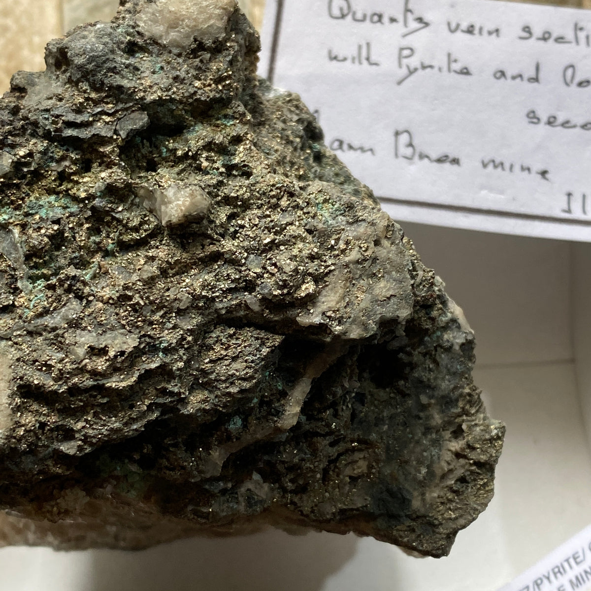 QUARTZ/PYRITE [ETC] : CARN BRAE MINE, POOL, CORNWALL  395g MF5365
