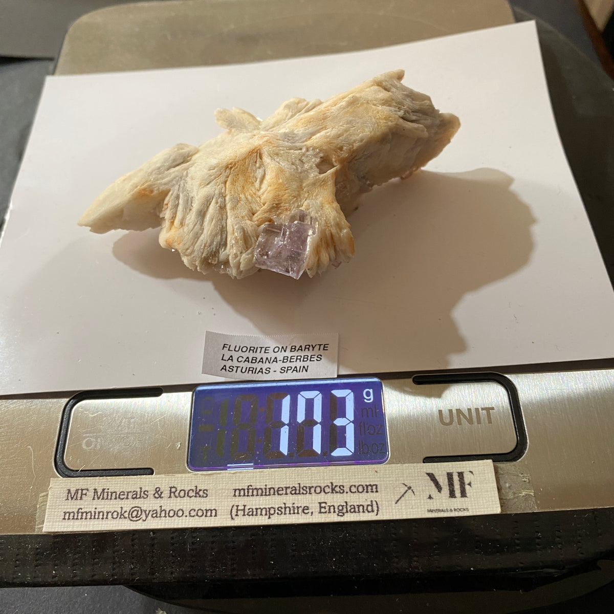 FLUORITE ON BARYTE RARE SPECIMEN FROM LA CABANA-BERBES, ASTURIAS, SPAIN 173g. MF5366