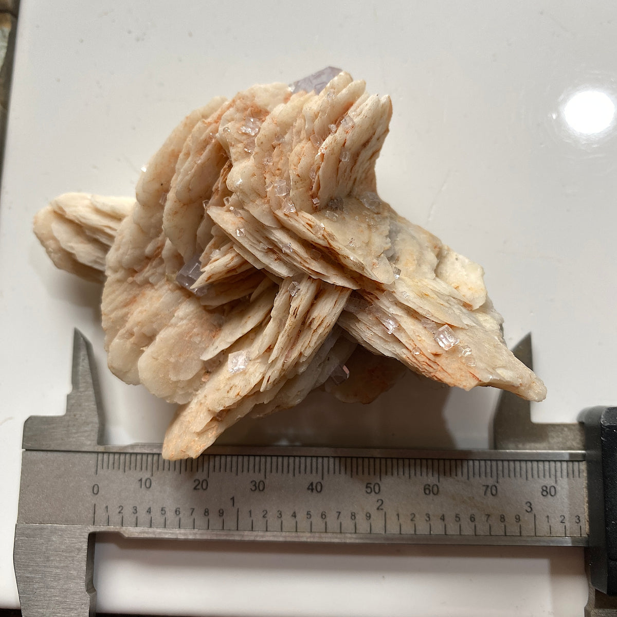 FLUORITE ON BARYTE RARE SPECIMEN FROM LA CABANA-BERBES, ASTURIAS, SPAIN 173g. MF5366