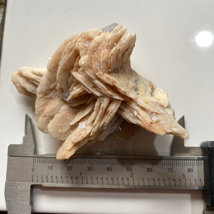 FLUORITE ON BARYTE RARE SPECIMEN FROM LA CABANA-BERBES, ASTURIAS, SPAIN 173g. MF5366