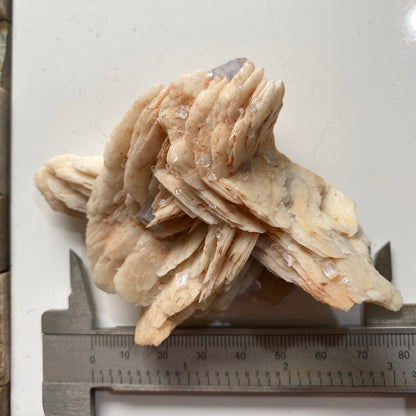 FLUORITE ON BARYTE RARE SPECIMEN FROM LA CABANA-BERBES, ASTURIAS, SPAIN 173g. MF5366
