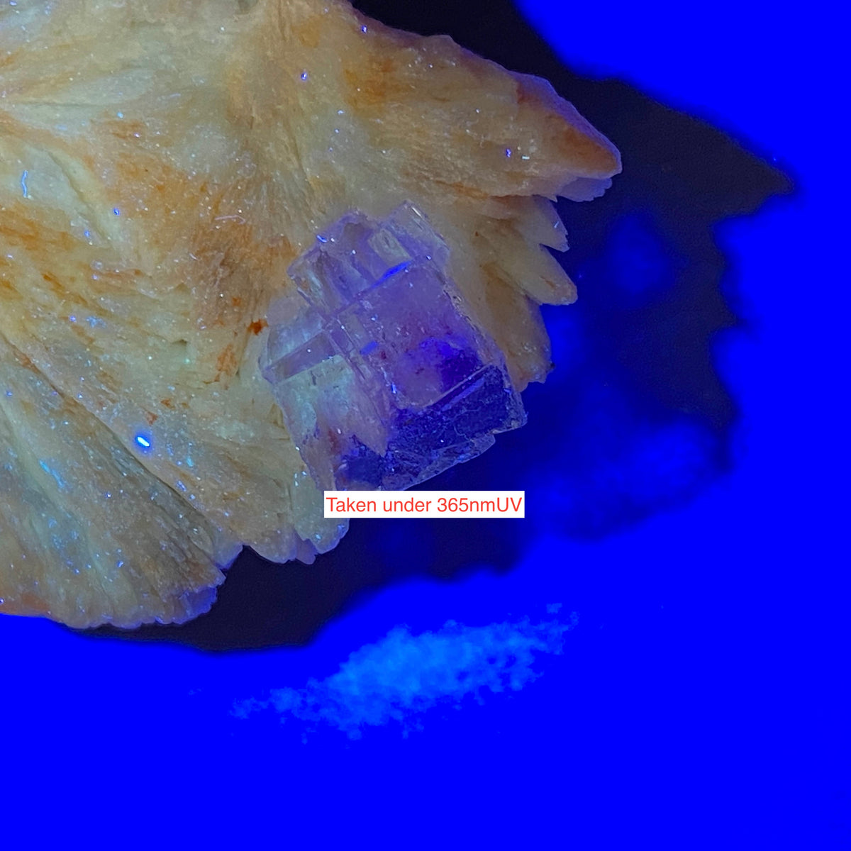 FLUORITE ON BARYTE RARE SPECIMEN FROM LA CABANA-BERBES, ASTURIAS, SPAIN 173g. MF5366
