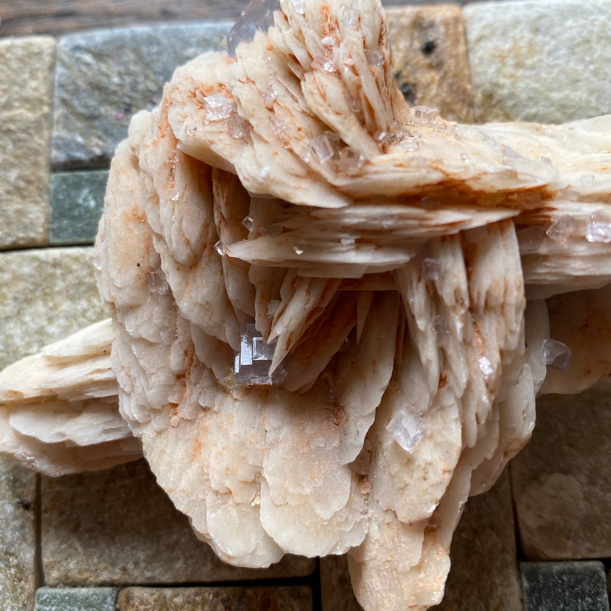 FLUORITE ON BARYTE RARE SPECIMEN FROM LA CABANA-BERBES, ASTURIAS, SPAIN 173g. MF5366