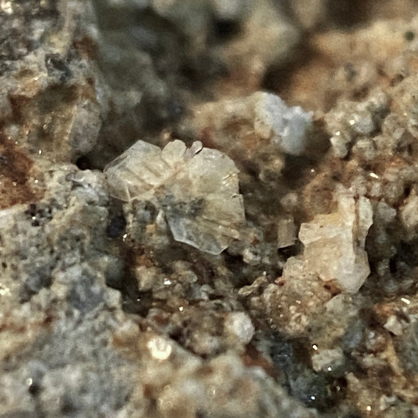 TRIDYMITE, VECHEC QUARRY, SLANSKE MOUTAINS, SLOVAKIA 32g MF1465