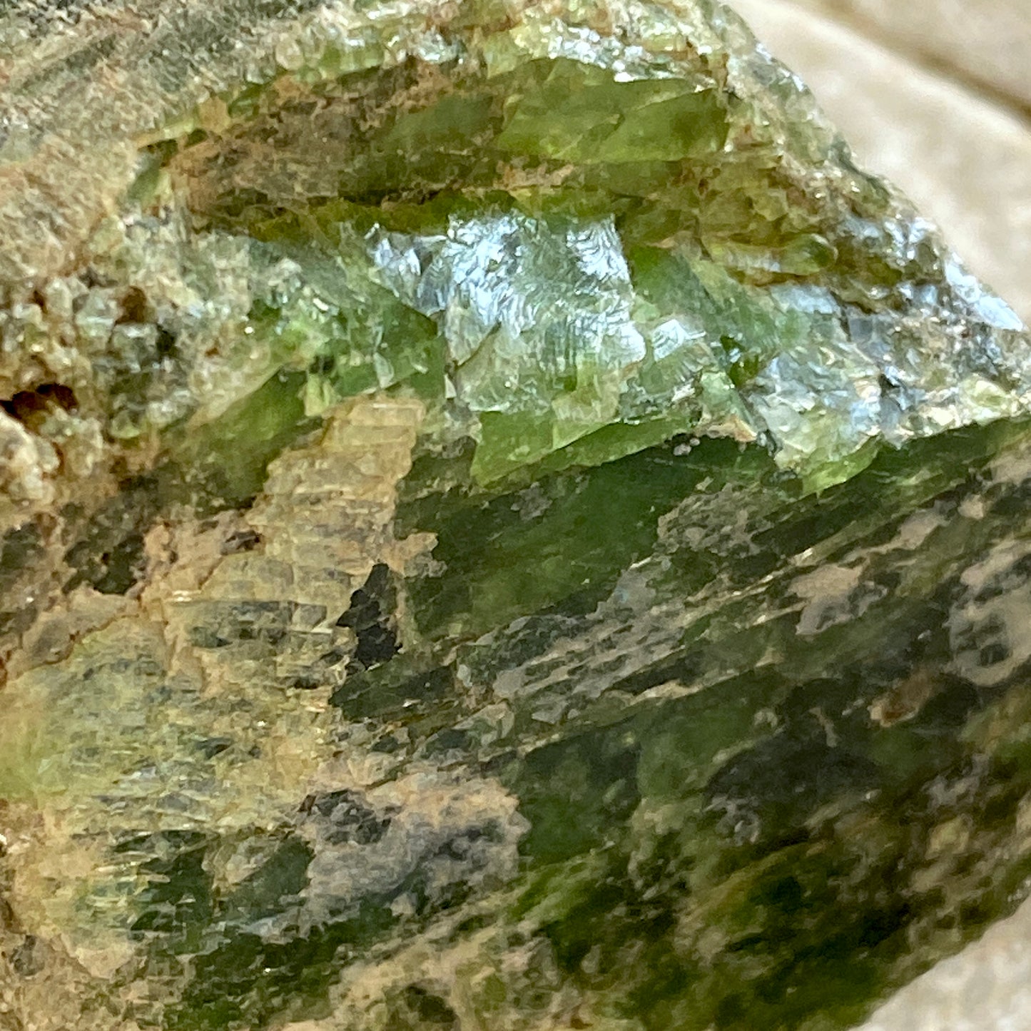 DIOPSIDE LARGE SPECIMEN - DIOPSIDRINNE, TYROL, AUSTRIA. 1176g MF2161