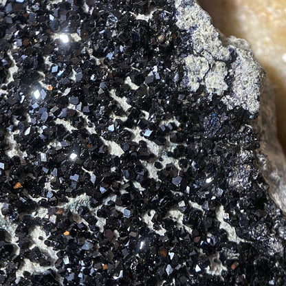 MELANITE GARNET : PEROVSKITE HILL, SANTA RITA PEAK, CALIFORNIA , U.S.A. 117g MF4681