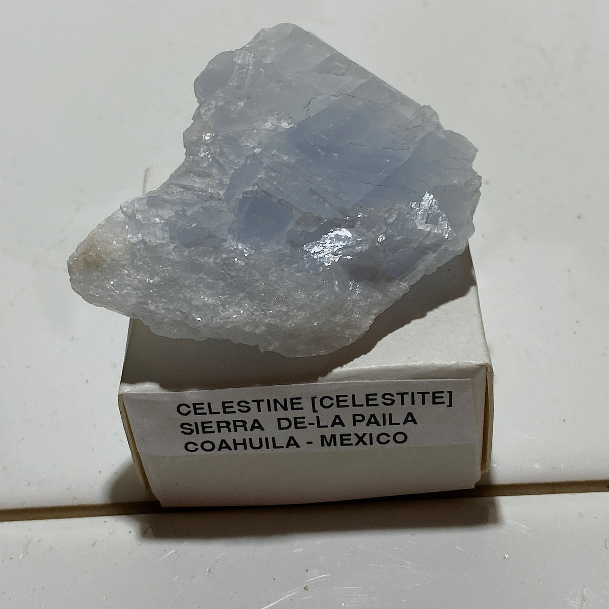 CELESTINE (CELESTITE) : SIERRA DE-LA PAILA, COAHUILA, MEXICO. 31g. MF5371