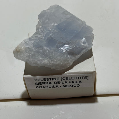 CELESTINE (CELESTITE) : SIERRA DE-LA PAILA, COAHUILA, MEXICO. 31g. MF5371