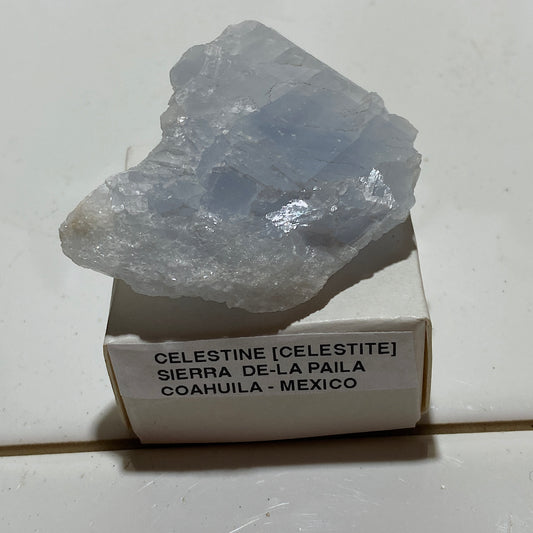 CELESTINE (CELESTITE) : SIERRA DE-LA PAILA, COAHUILA, MEXICO. 31g. MF5371