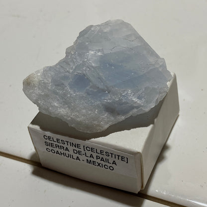 CELESTINE (CELESTITE) : SIERRA DE-LA PAILA, COAHUILA, MEXICO. 31g. MF5371
