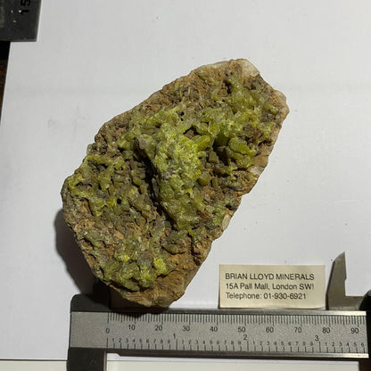 MIMETITE [ETC] - DRY GILL MINE, CALDBECK, ALLERDALE, CUMBRIA 234g MF648
