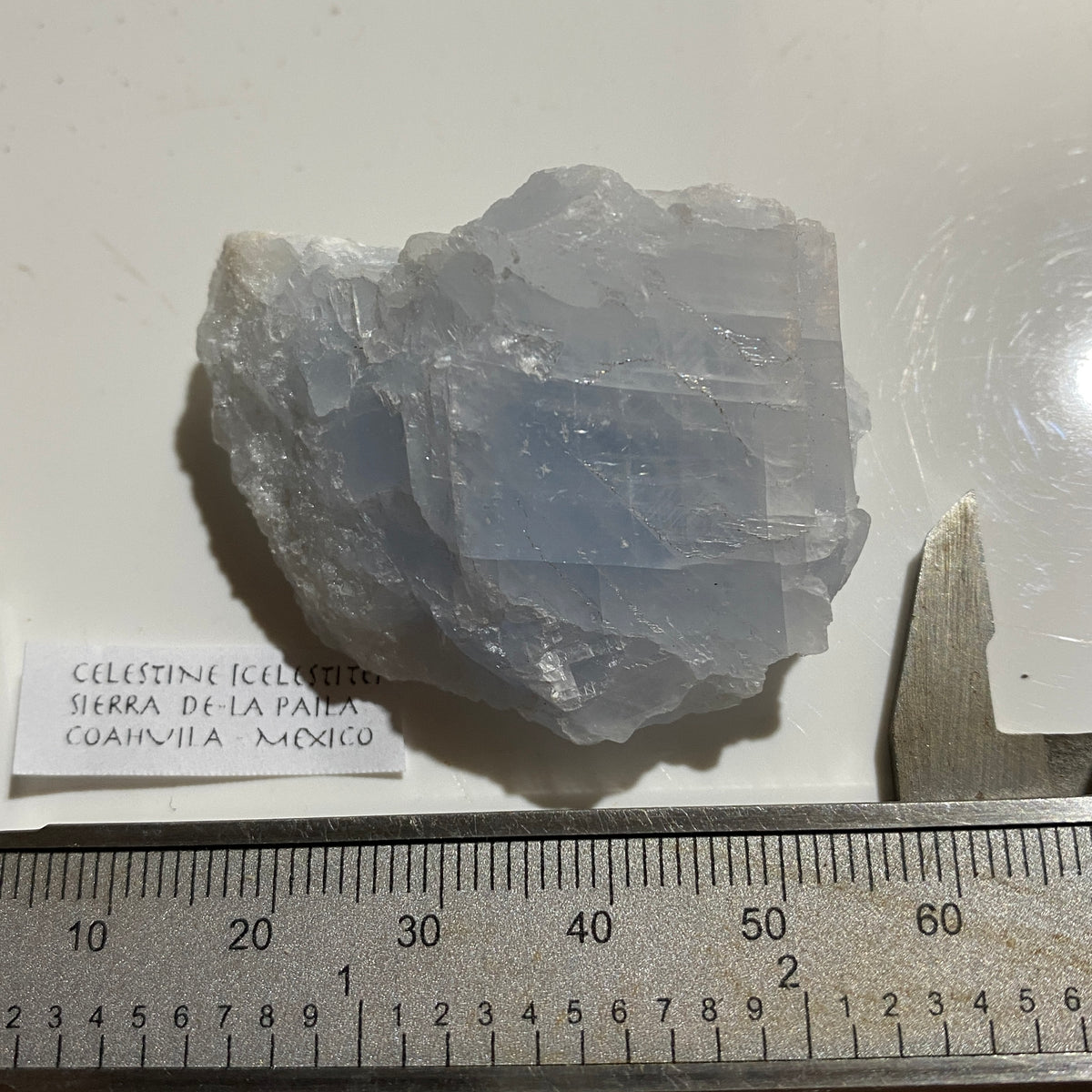 CELESTINE (CELESTITE) : SIERRA DE-LA PAILA, COAHUILA, MEXICO. 31g. MF5371